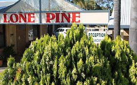 Lone Pine Motel Corowa